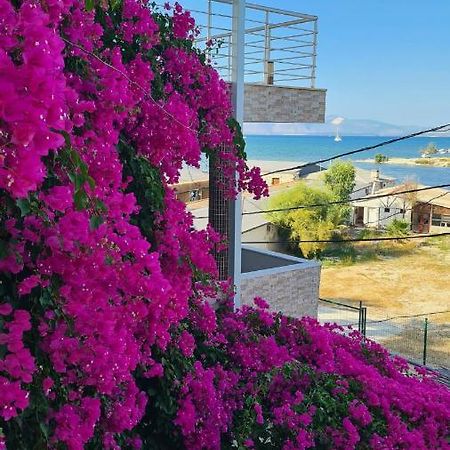 Begonvil OtelÇeşme エクステリア 写真