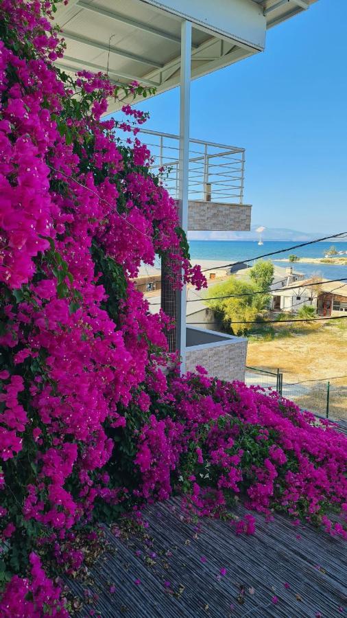 Begonvil OtelÇeşme エクステリア 写真