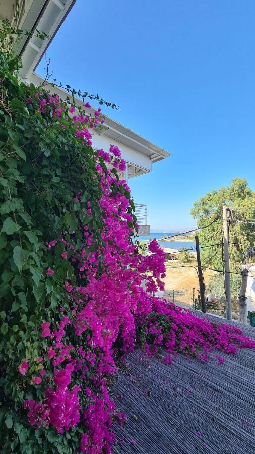 Begonvil OtelÇeşme エクステリア 写真